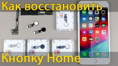 Как восстановить кнопку home на iPhone